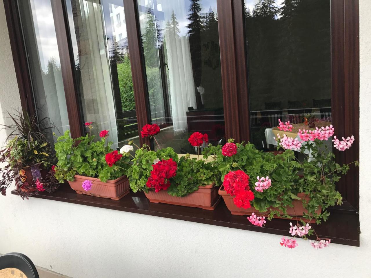 Nice Hotel Pamporovo Kültér fotó